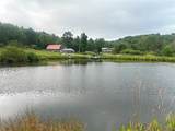 4221 Dineen Road - Photo 4