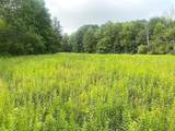 4221 Dineen Road - Photo 41