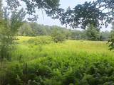 4221 Dineen Road - Photo 42