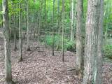 4221 Dineen Road - Photo 43