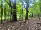 4221 Dineen Road - Photo 46