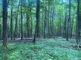 4221 Dineen Road - Photo 47