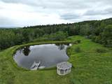 4221 Dineen Road - Photo 49