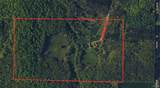 4221 Dineen Road - Photo 50