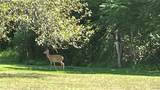6994 Cove Road - Photo 29
