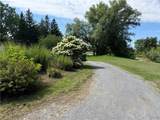 8103 Swan Road - Photo 11
