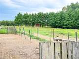 2503 Eckel Road - Photo 42