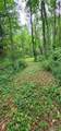 5191 Pleasant Valley Road - Photo 12