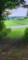 5191 Pleasant Valley Road - Photo 17