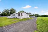 295 Stoney Robby Road - Photo 50