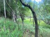 1884 County Road 18 - Photo 35