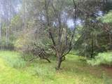 1884 County Road 18 - Photo 39