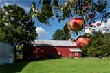 11977 Potato Hill Road - Photo 8
