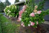 3308 Walden Oaks Boulevard - Photo 13