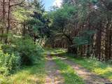 4509 County Route 158 - Photo 12