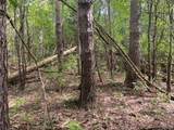 5722 County Road 48 - Photo 46