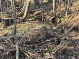 6250 Chases Lake Road - Photo 27