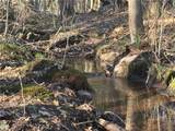 6250 Chases Lake Road - Photo 28