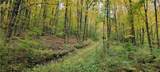 0 Branch Road - Photo 2