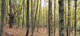 0 Branch Road - Photo 4