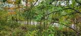 0 Branch Road - Photo 42