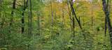 0 Branch Road - Photo 5