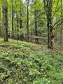VL Rabbit Road - Photo 1