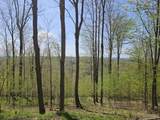  Scott Hollow Road - Photo 12