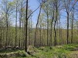  Scott Hollow Road - Photo 2