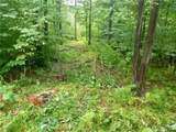  Scott Hollow Road - Photo 3