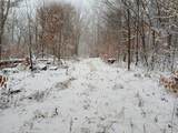  Scott Hollow Road - Photo 6