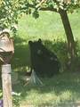  Scott Hollow Road - Photo 8