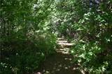 9190 Ball Road - Photo 12