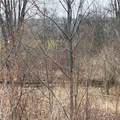 2330 Ridge Road - Photo 19