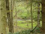 9999 Olean Road - Photo 6