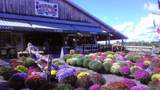 7945 Lake Rd - Photo 21