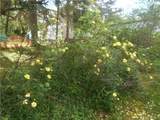 15 Sunset Drive - Photo 26