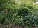 15 Sunset Drive - Photo 50