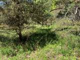 0 Clear Creek Road - Photo 12