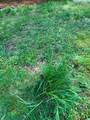 0 Clear Creek Road - Photo 13