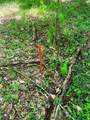 0 Clear Creek Road - Photo 17