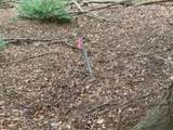 0 Mattice Road - Photo 5