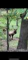 0 Mason Hill Rd./Jakes Ln. - Photo 19