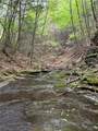 3843 Charlotte Creek Road - Photo 48