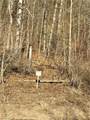 512 County Road 18 - Photo 13