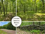 Lot 25 Kara Lane - Photo 1