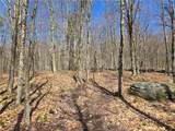 Lot 25 Kara Lane - Photo 39