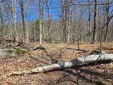 Lot 25 Kara Lane - Photo 46