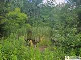 5162 Whig Street - Photo 4