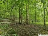 5162 Whig Street - Photo 6